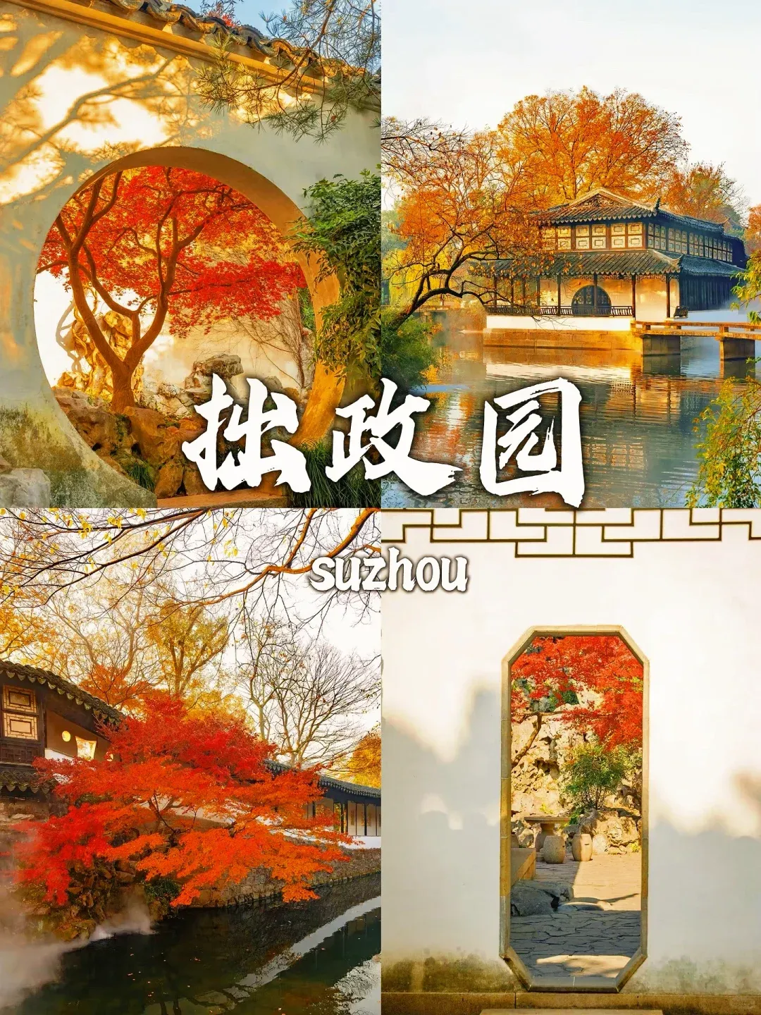 a1a8d865252a2f9c9332eea30d1e2243-sz_3452401 a1a8d865252a2f9c9332eea30d1e2243-sz_3452401
