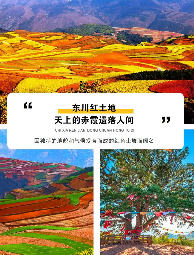 dbb44b3acc8f74b5d81169704ad363fd-sz_832801-3