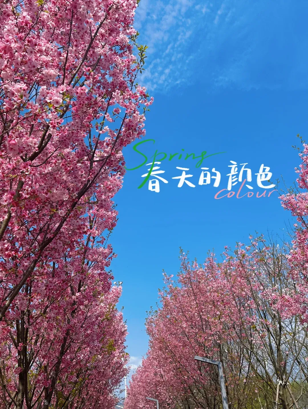101d041ff4b86c5f6c5329b58b6ee111-sz_3264655 101d041ff4b86c5f6c5329b58b6ee111-sz_3264655