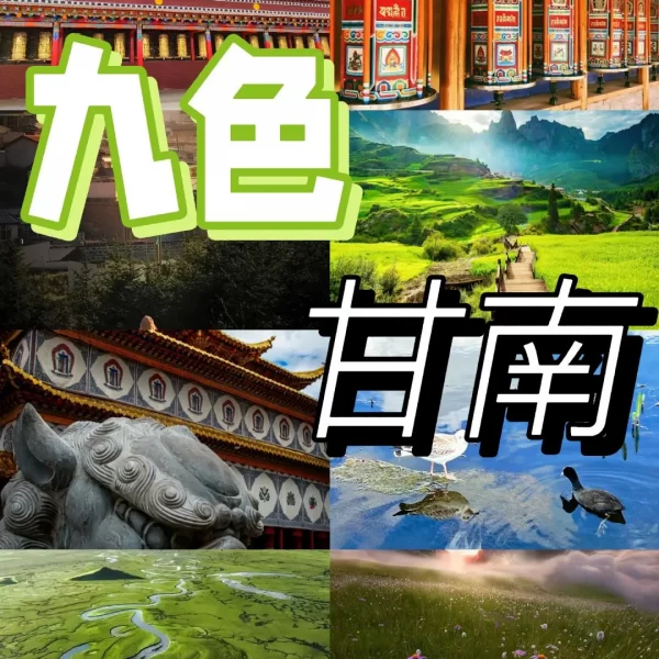 王牌甘南·九色甘南【真纯玩2499起圣境甘南·陇上陇南·天上天水·河州临夏·金城兰州8日】三大5A景区·一晚四钻+两晚三钻酒店