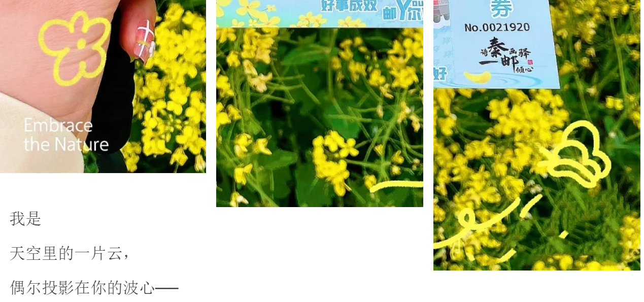 a5dff79268a64fbe554d310ac0791ef9