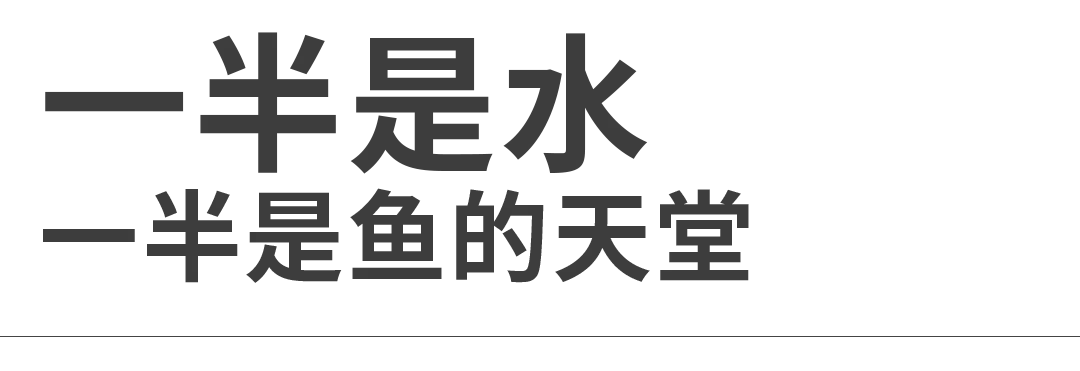 b3b0de18210a48264182f9aa0c02da60-sz_12038 b3b0de18210a48264182f9aa0c02da60-sz_12038