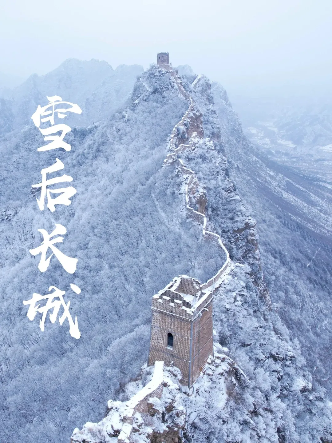 c4248d3886019b3895487d3ae352e431-sz_516851