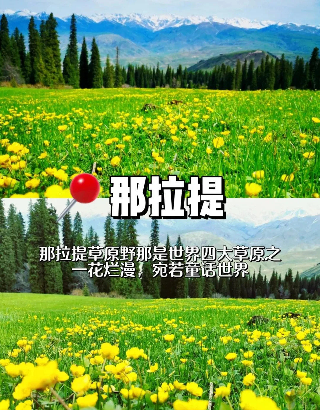 dd4fb72421e91f0868af1666613d86cc-sz_500401 dd4fb72421e91f0868af1666613d86cc-sz_500401