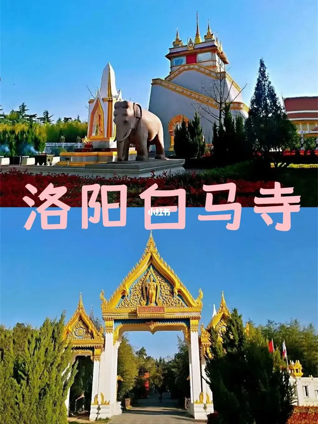 e48af5c1cdb18d551f69fb580777bd83-sz_225280-1