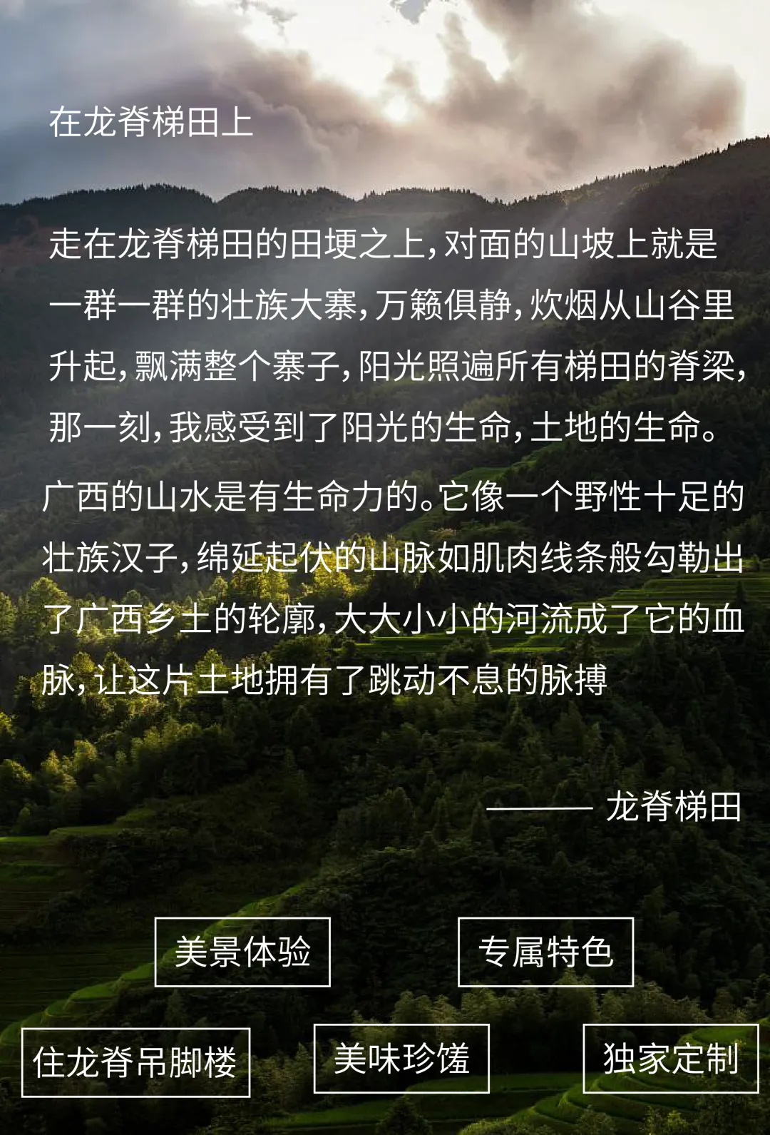 0ed1c446f84aa647d9cb422ad8d7bcbb-sz_4018319 0ed1c446f84aa647d9cb422ad8d7bcbb-sz_4018319