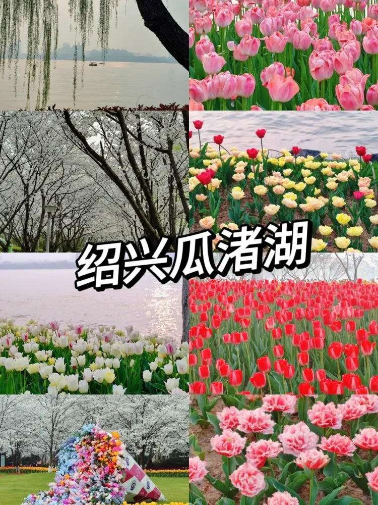 12303c9d468d41358ccd3ff656e3021d-sz_3940111-1