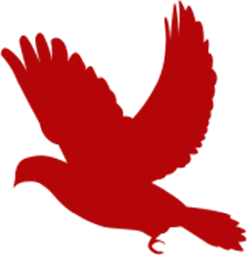 1b17779b3be1f6f701b56a0bc615c8b2_sz-33955 1b17779b3be1f6f701b56a0bc615c8b2_sz-33955