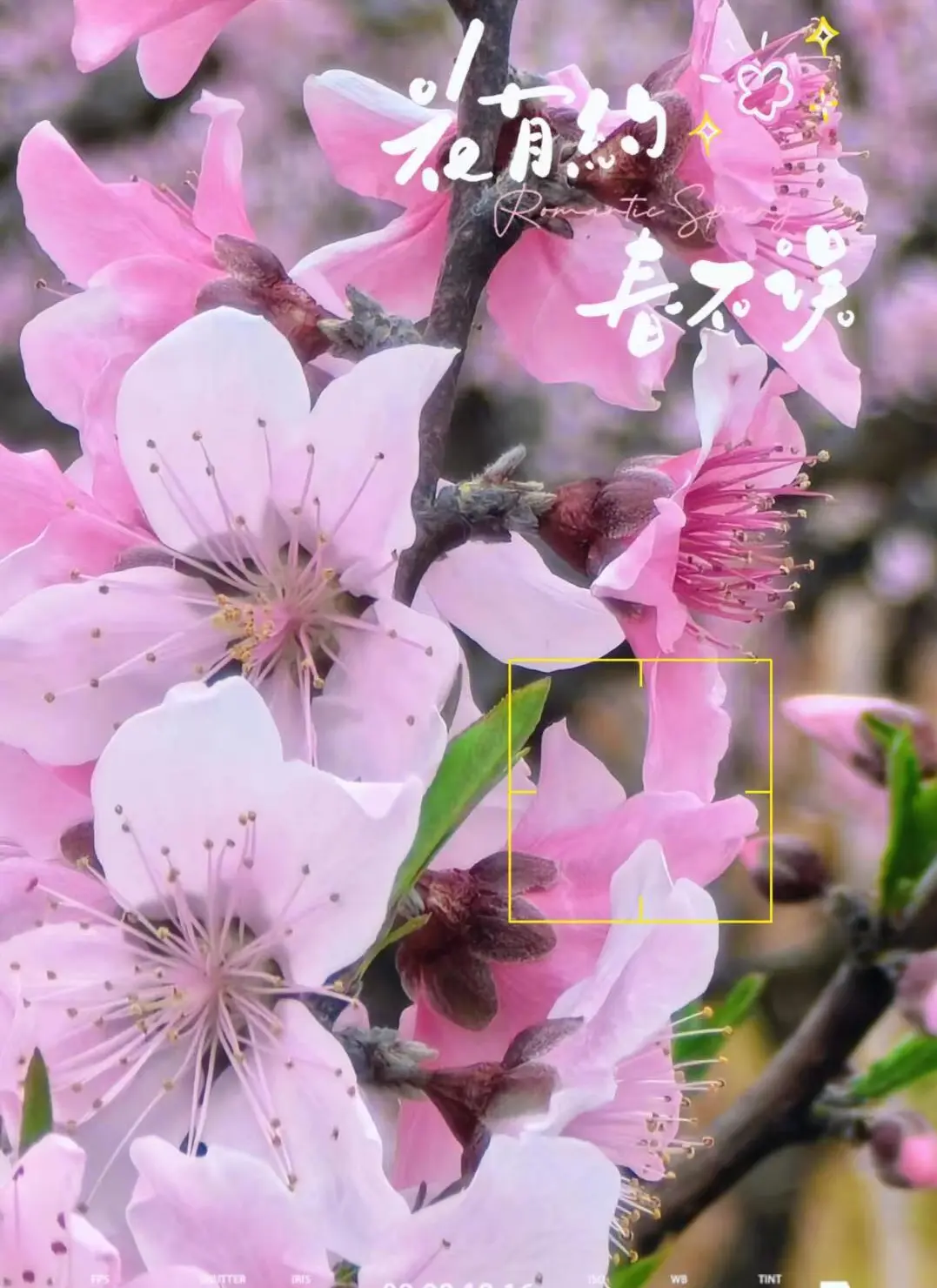 1bf8b02d9ab79ca436ee3c978927cb0a-sz_168452 1bf8b02d9ab79ca436ee3c978927cb0a-sz_168452