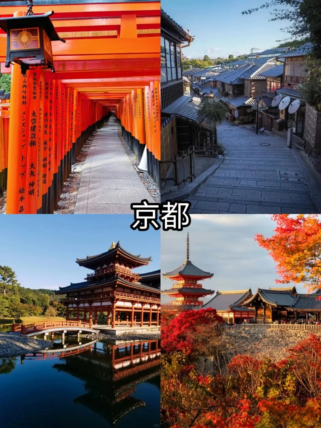 1ee6edfc3d46fdf6f4f9dfa5387da474-sz_488355 1ee6edfc3d46fdf6f4f9dfa5387da474-sz_488355