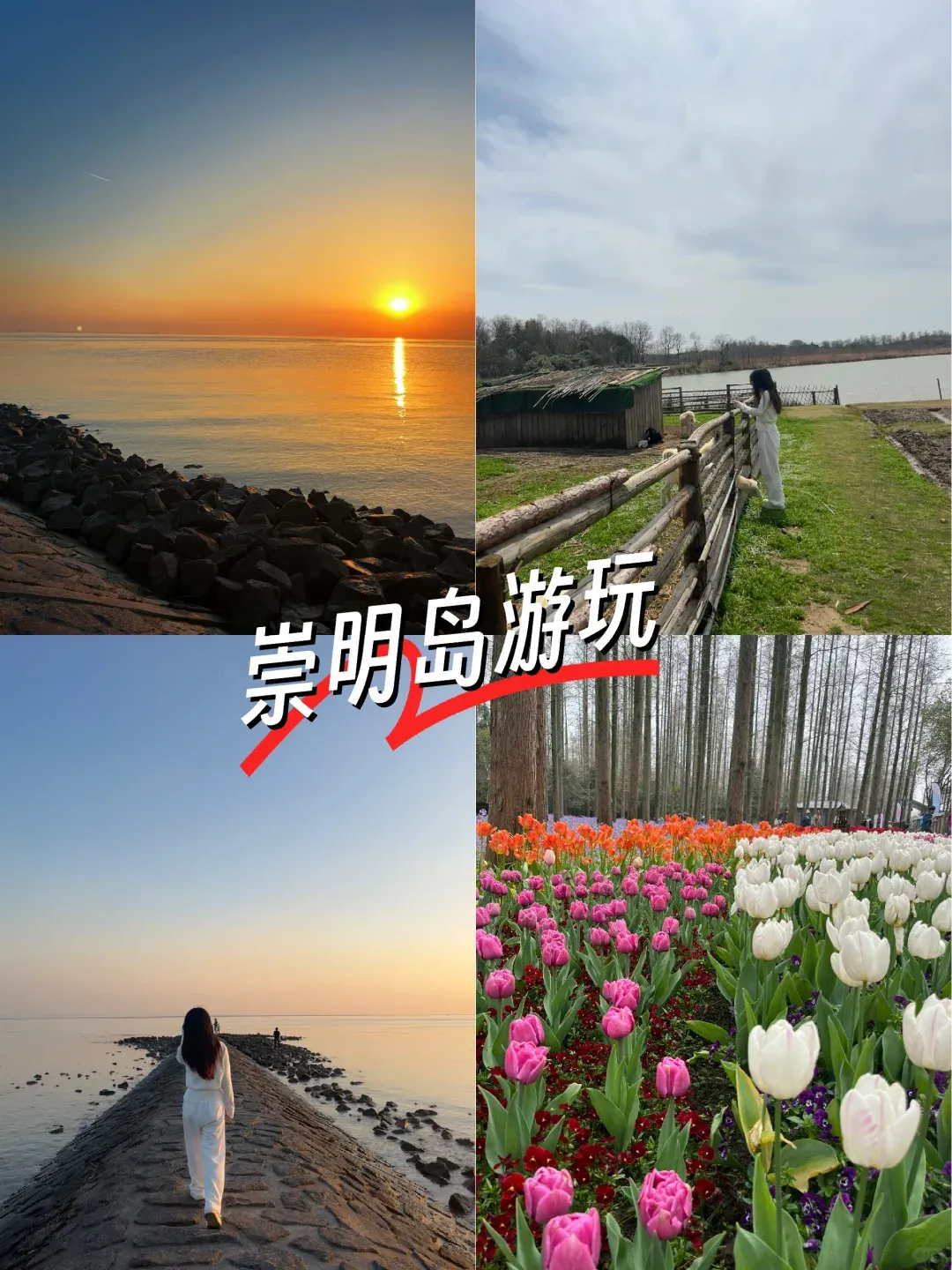 3416bee3c1e07cc7acbe70dccb96c8fe-sz_1911177