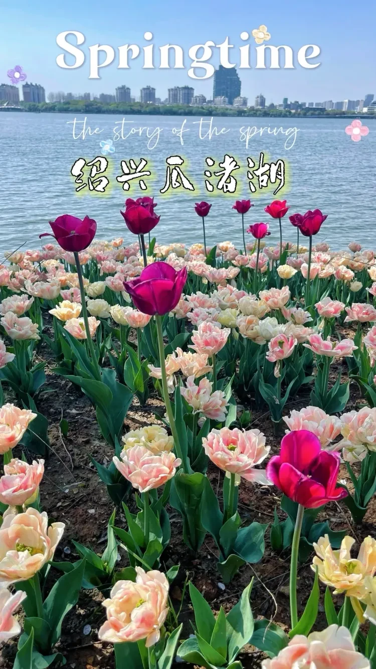 39990810231a1a2b7646d1d2ca3b5715-sz_4825924-1