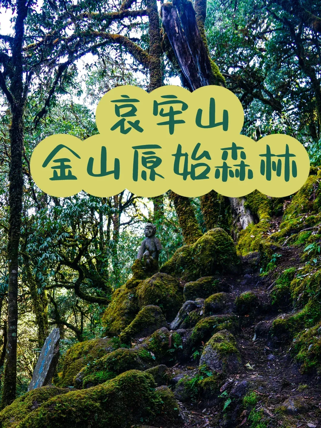 4c9197eb55687c9db5e8e47265d1a573-sz_3647937-2