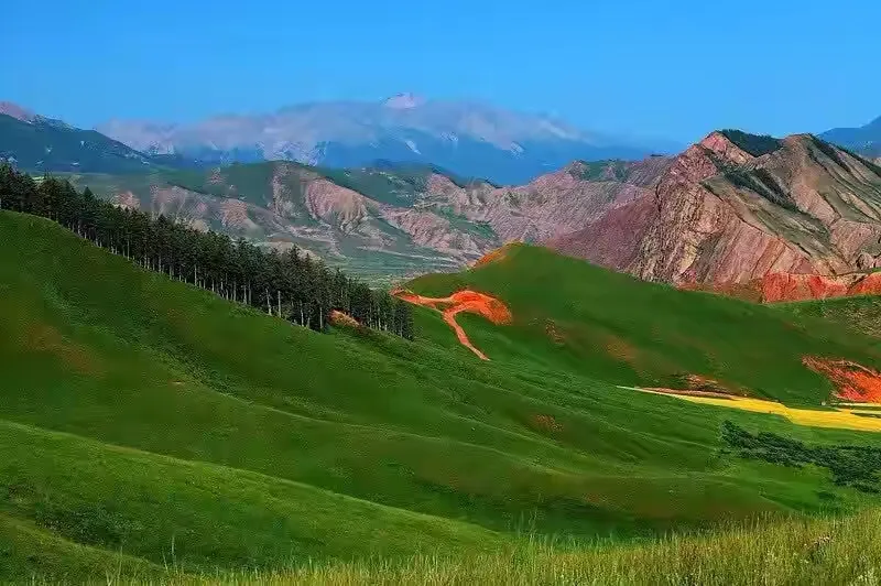 4eacf28573b9641af38b5a7b785c17ab-sz_157383 4eacf28573b9641af38b5a7b785c17ab-sz_157383