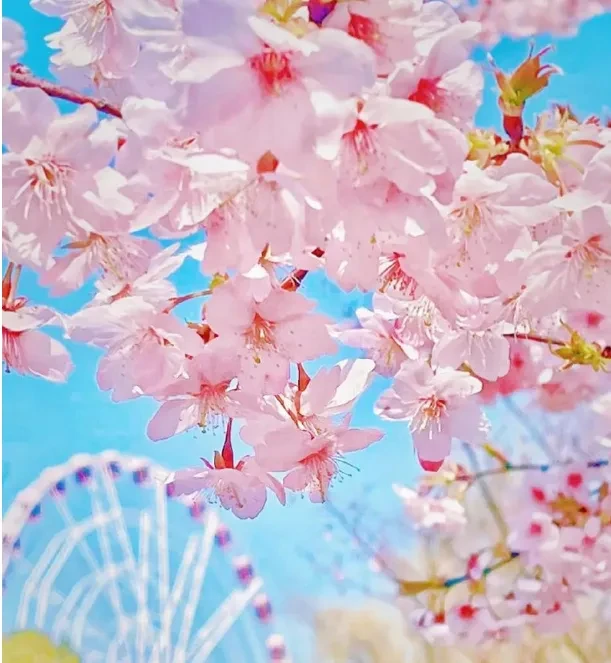 63d19c81ab9ee88c157ff3cea81c1cef-sz_1071353-2