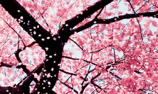 7b1ee556c1d5d8a92e628d13b1e3830a-sz_1660550-1