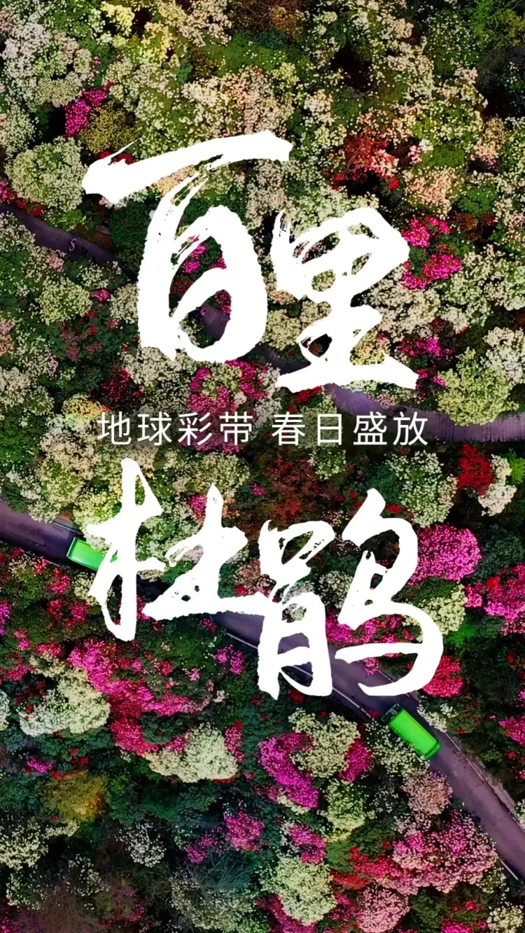 8296724a324668ea11933cc7881db0e1-sz_579692 8296724a324668ea11933cc7881db0e1-sz_579692