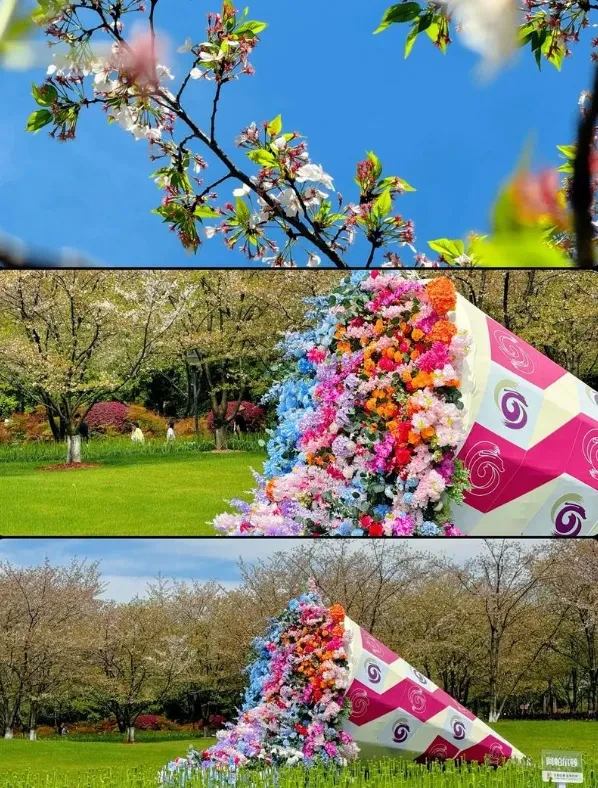 8cc91a38dc1e2934900c5bf8d81d13ed-sz_1318699-1
