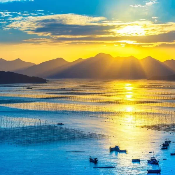 【¥1999起霞浦随心选·双动5日游】去一次霞浦吧!带你“上山下海”,欣赏少为人知的人间秘境,品尝离水5分钟海鲜,悠闲赏美景~