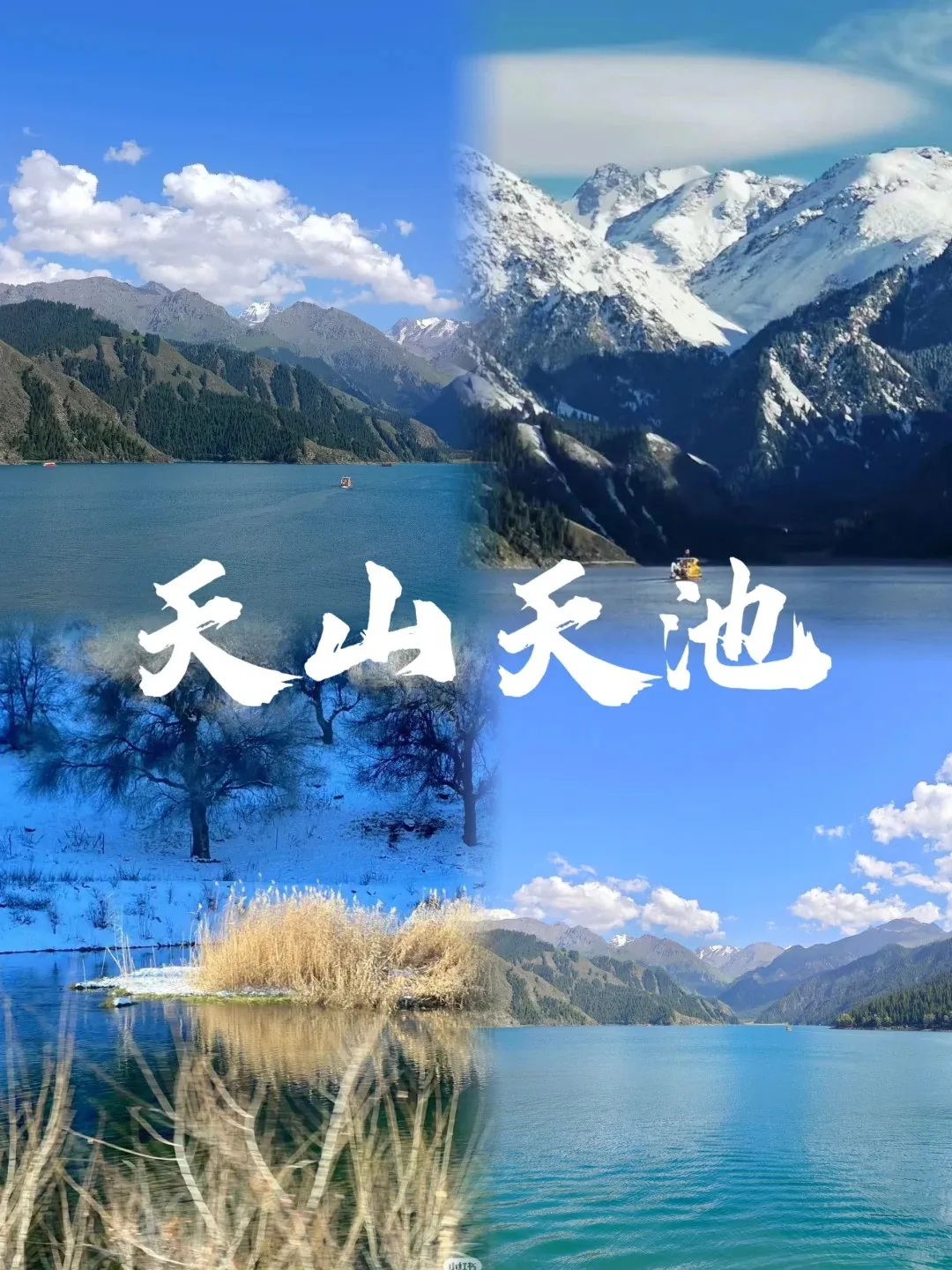 d060906cdb2f4436a2722ae4a5e1612a-sz_415583-1