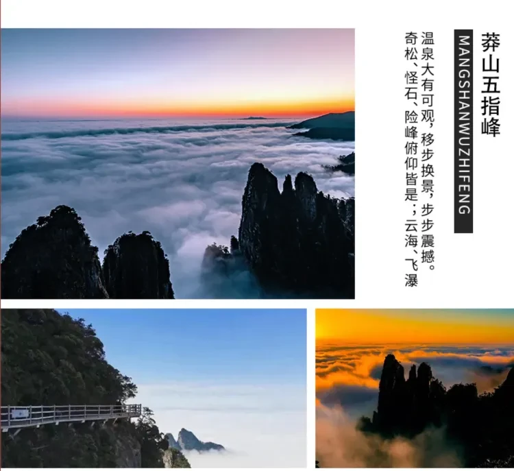 d71ceed67ad0b3f3a05051b3c14113a9-sz_1338232 d71ceed67ad0b3f3a05051b3c14113a9-sz_1338232