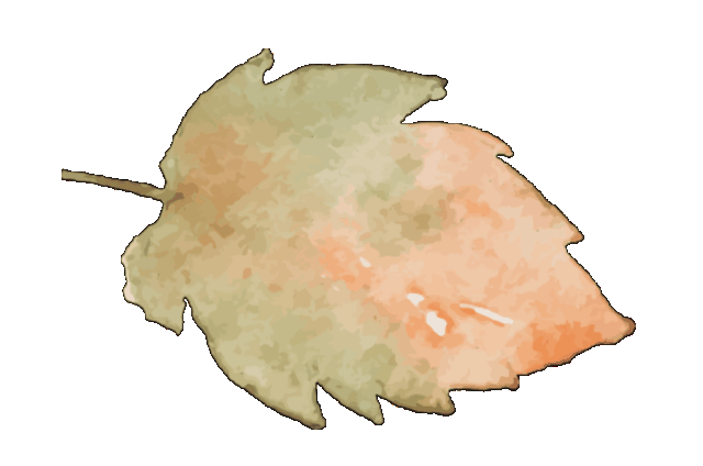 f6f5d6ad5eb0700e7827394e2b11e474-sz_2426118