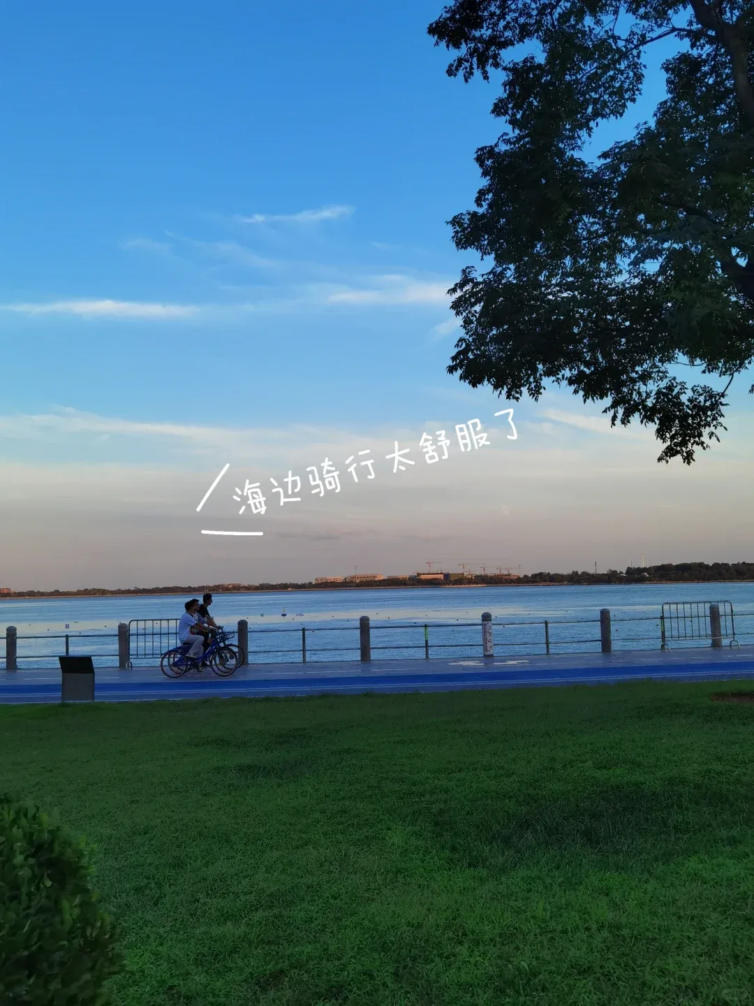 f7df0f30ad38551ed5bedf99b2ee6d80-sz_2004681 f7df0f30ad38551ed5bedf99b2ee6d80-sz_2004681