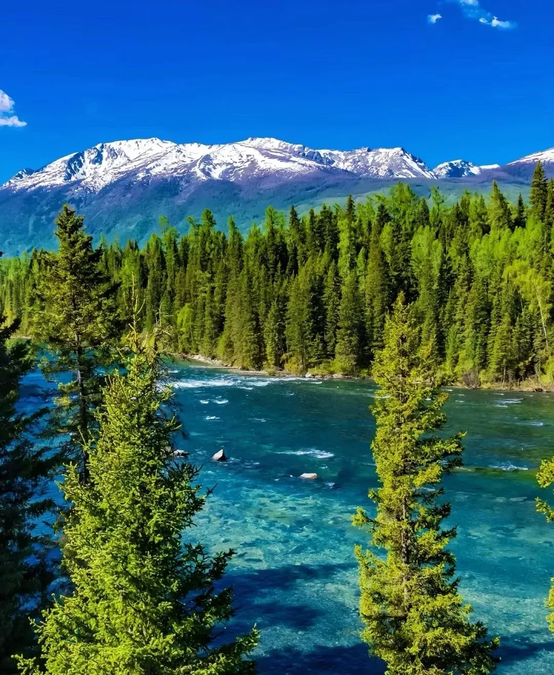05f6b45d789ecf766551e7e6284e323e-sz_2899567