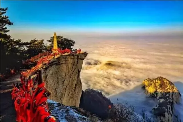 08817402d4c1604a5716fe9a45008ff6-sz_52993