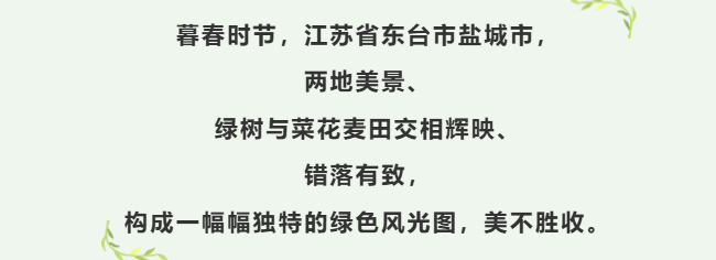 0a275cb64831adb8fb695f95a35439c3