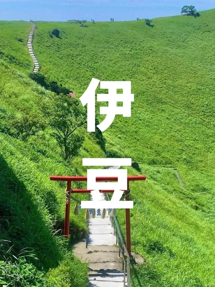 0e4bbece9425672c571f1437efe27e6c-sz_276917