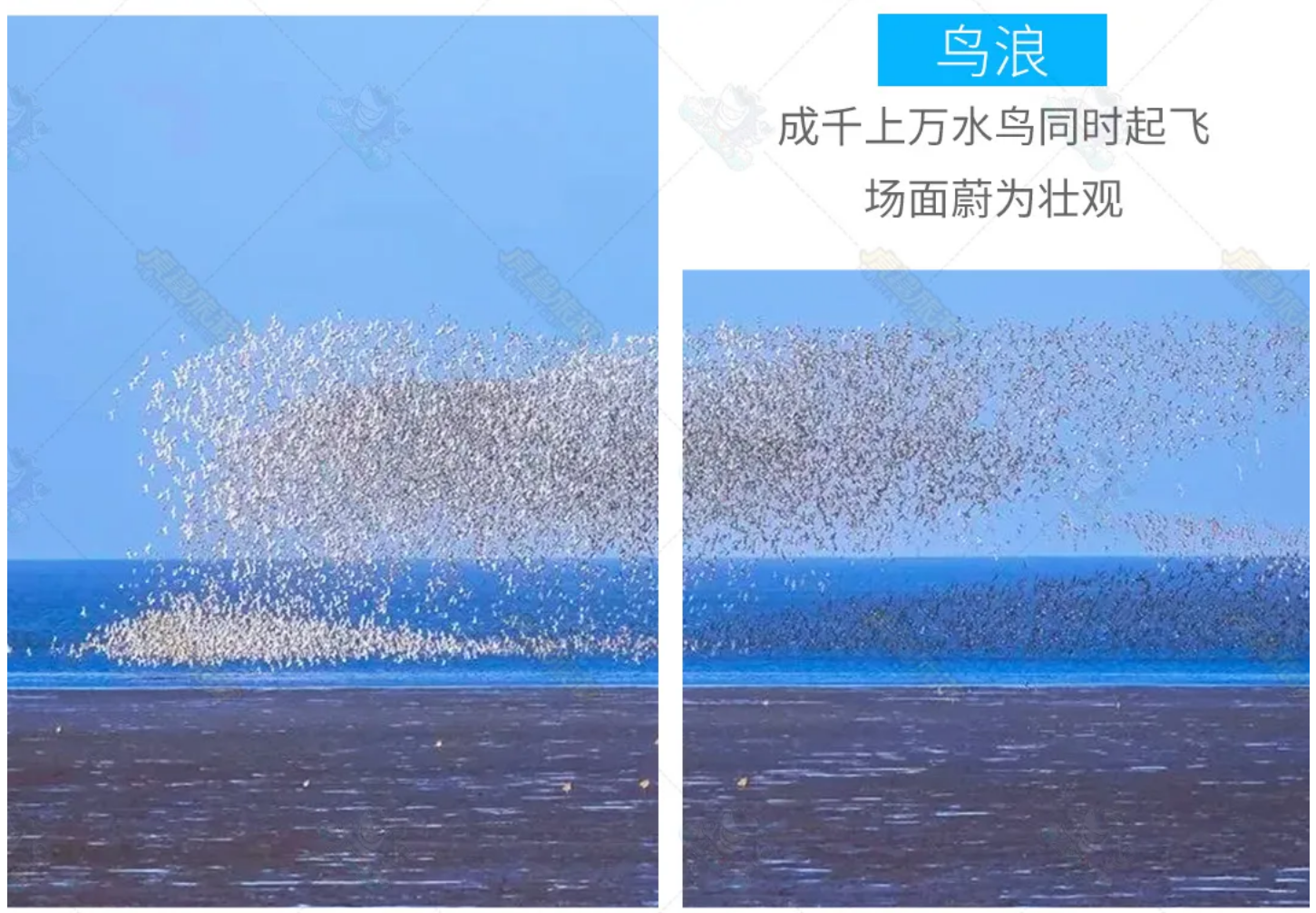 1c511398fe36cb30f53f980ec7e5156b
