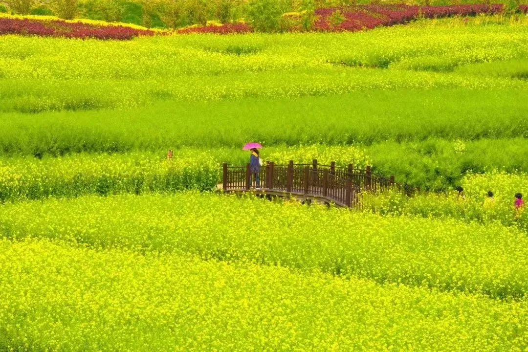 20c4b11fe11555d9611b772ac1b8e605-sz_421121 20c4b11fe11555d9611b772ac1b8e605-sz_421121