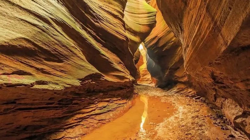 41cf264285f52470e06e22977b18e701-sz_87433-1