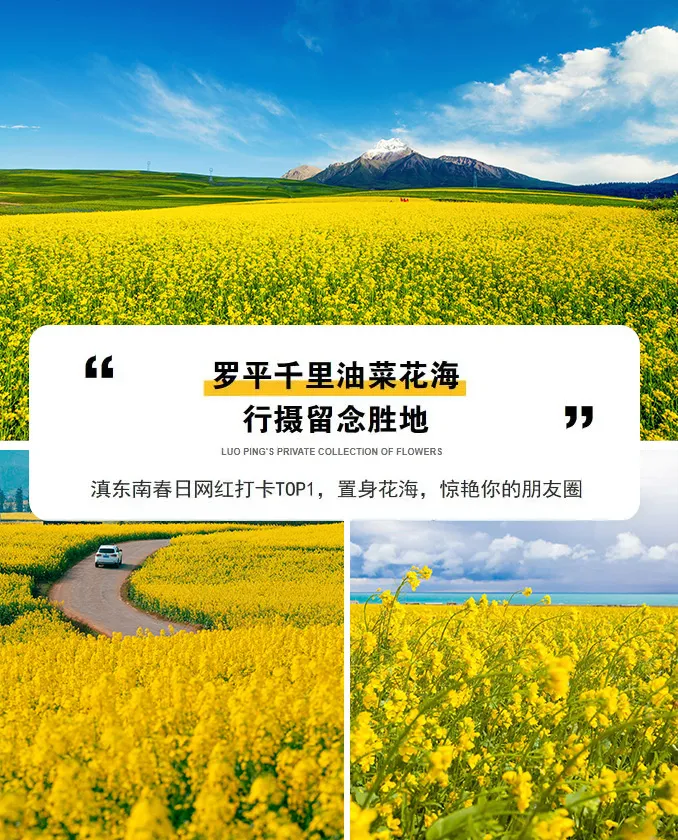 5d0e6052f2290cc62e8db41dfdc4fefc-sz_428114 5d0e6052f2290cc62e8db41dfdc4fefc-sz_428114