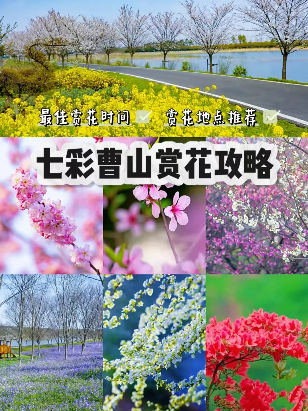 6f4a3c19f0e1b92585bcd44c6741415d-sz_1533906
