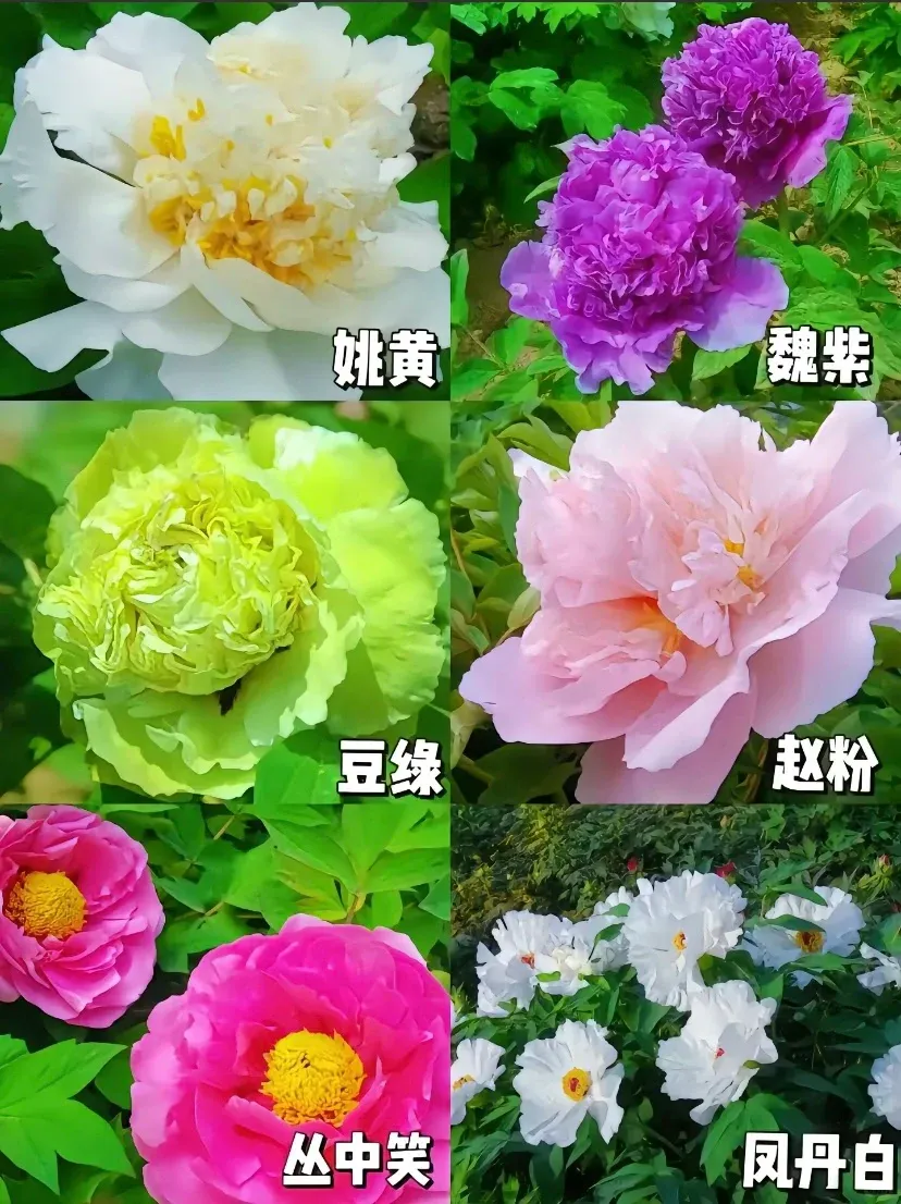 824eb7822054c2a9759d9740d27149b9-sz_2203893