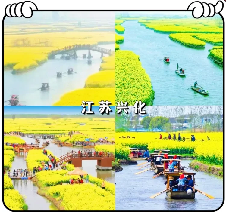8a6e0fc7310e4c404d9bbf0e74253719-sz_1113269