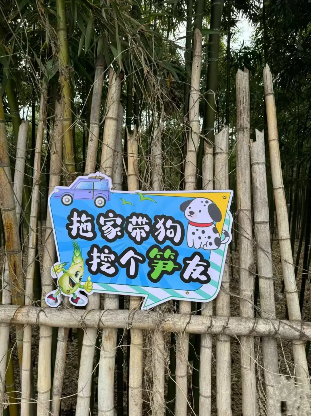 970502f0c5b122e77e01e719d9eedb26-sz_3486266
