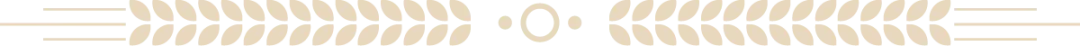9aa2995160517535c49fb5dcaa585d1d-sz_21459