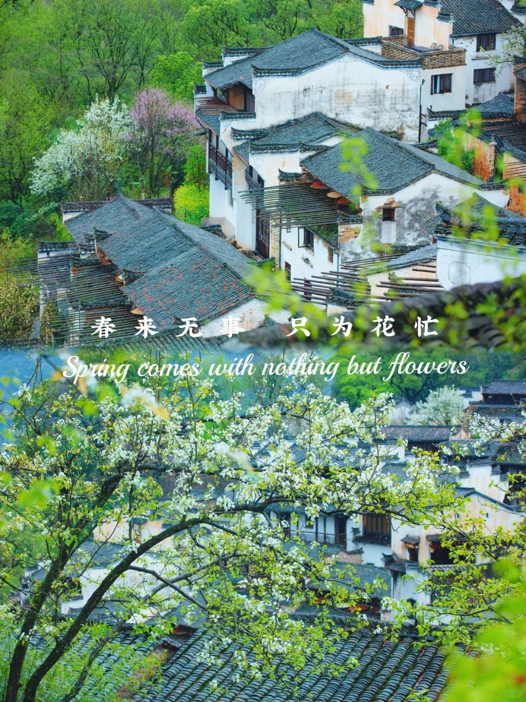 a63e6a475741d3f03dcc665eb0ca7dab-sz_3284721-1 a63e6a475741d3f03dcc665eb0ca7dab-sz_3284721-1