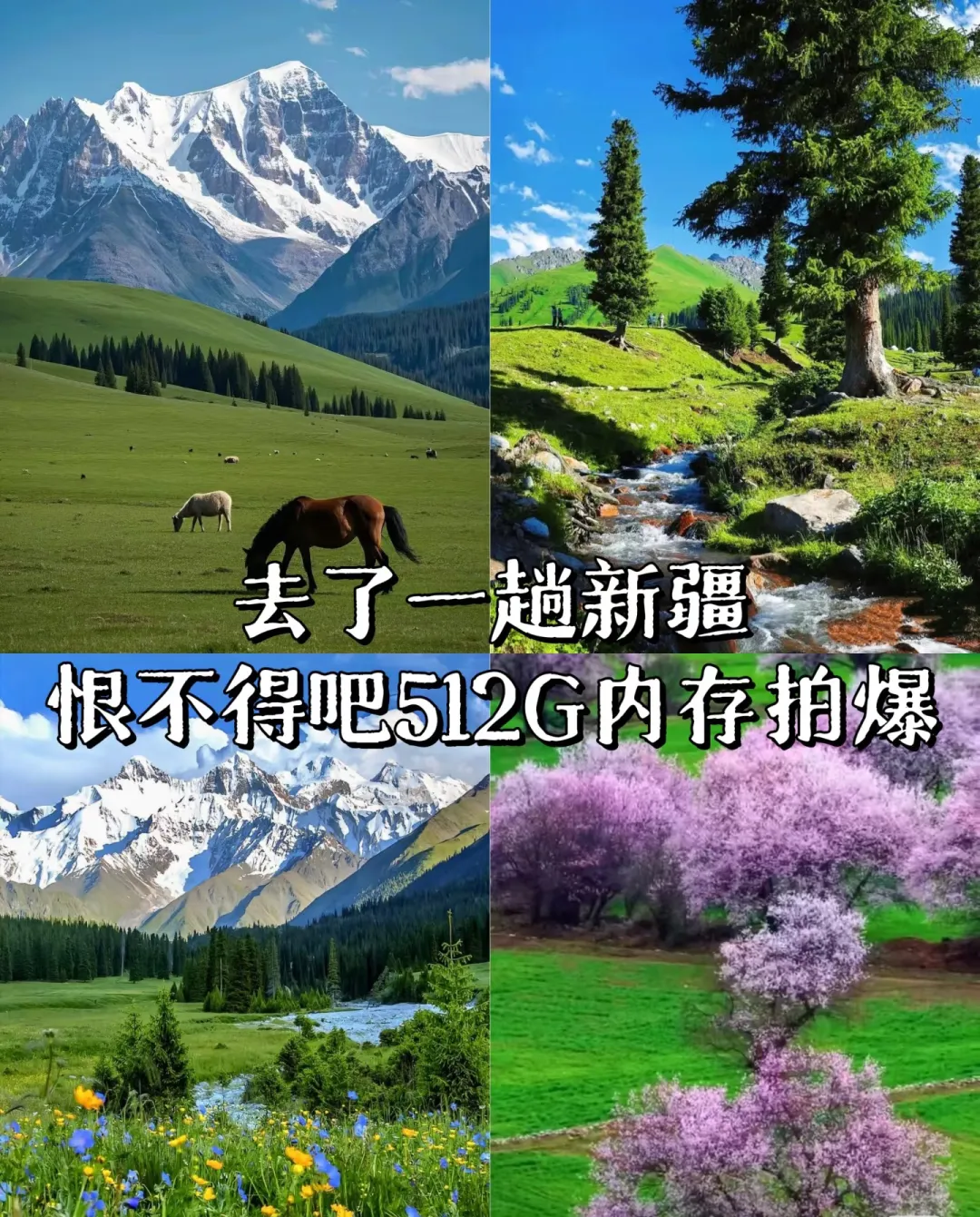 a8539d0f51f3b45dfa6d829057652610-sz_946845 a8539d0f51f3b45dfa6d829057652610-sz_946845