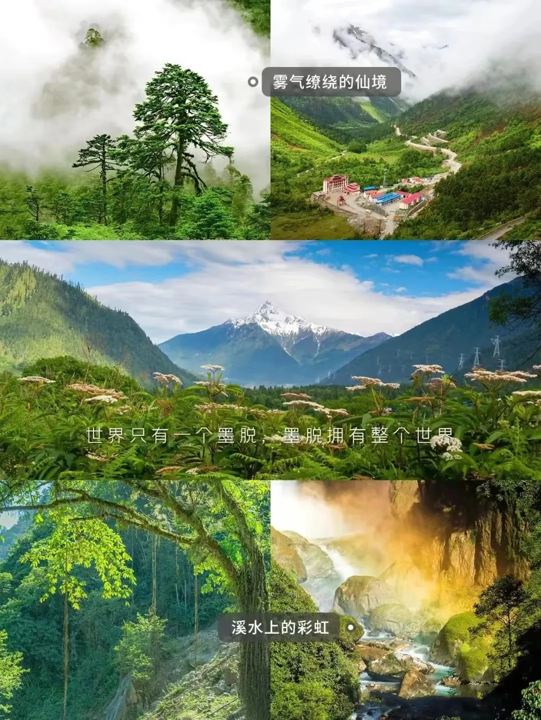 a8cce0d8073c84fd06d7f1c7340f9305-sz_669364-1 a8cce0d8073c84fd06d7f1c7340f9305-sz_669364-1