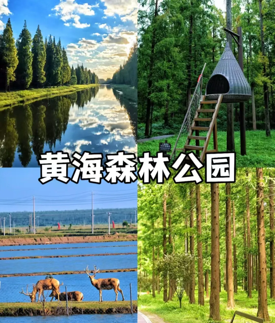 aa20d9b50dc548bed5f9d56640597e6a-sz_1539710