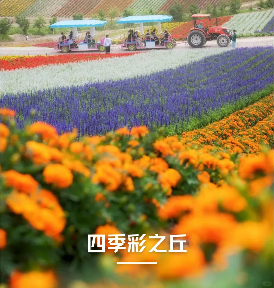 ab9126990bd3ec2a683e4cecd2c4b142-sz_1790790-1 ab9126990bd3ec2a683e4cecd2c4b142-sz_1790790-1