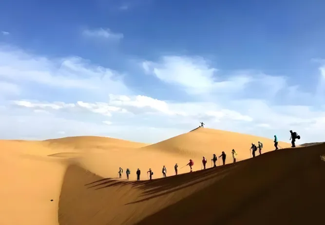 b204849b0330e987e00540bf2bc06426-sz_356529-1