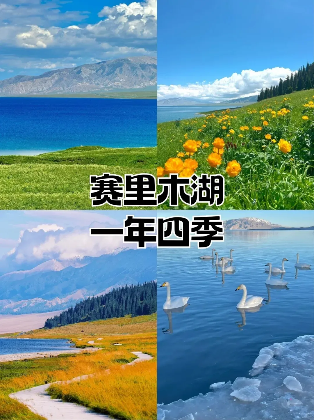 c91d7a90e9bbddd0a54f8c5ee186eed0-sz_2258473 c91d7a90e9bbddd0a54f8c5ee186eed0-sz_2258473