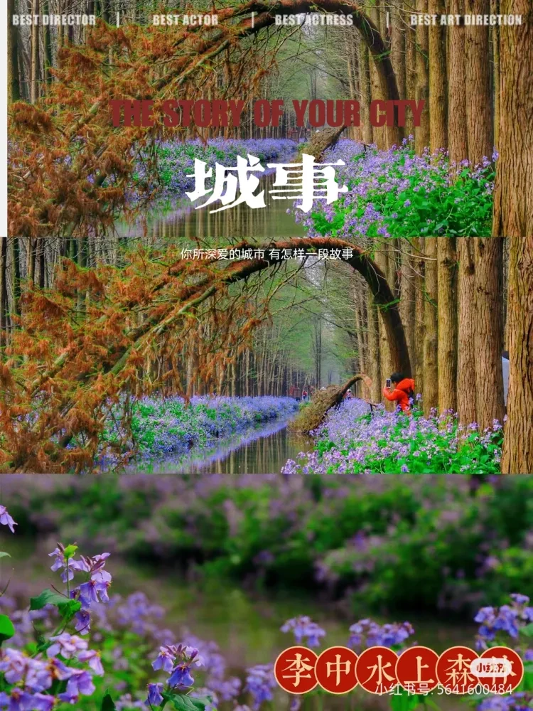 c97679f440bd0e9ab89f18e1eaaaf4f8-sz_1950370