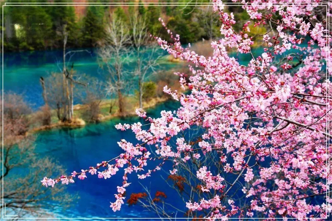 da70b220422ea5e86e882c4040bf2136-sz_2422937 da70b220422ea5e86e882c4040bf2136-sz_2422937