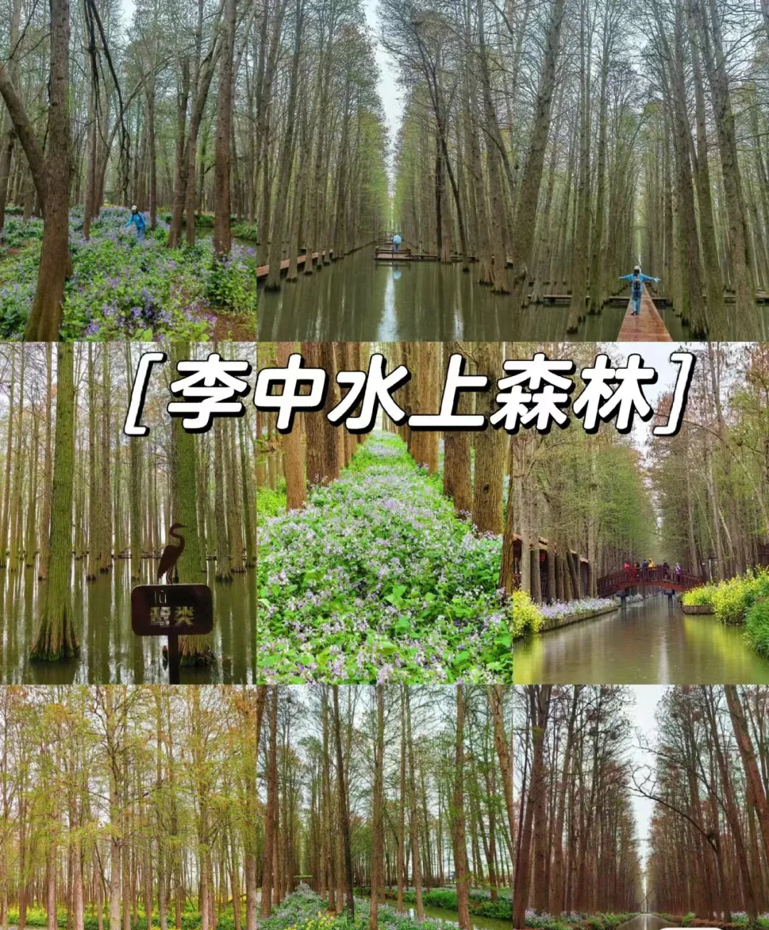 db2672d3ff2b58c14dd8169332850502-sz_1210207